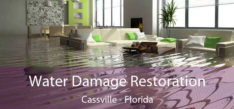 Water Damage Restoration Cassville - Florida