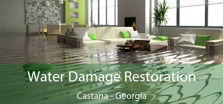 Water Damage Restoration Castana - Georgia