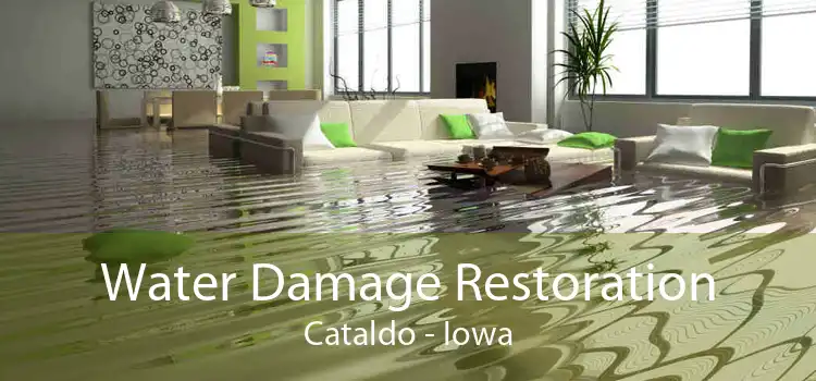 Water Damage Restoration Cataldo - Iowa