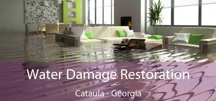 Water Damage Restoration Cataula - Georgia