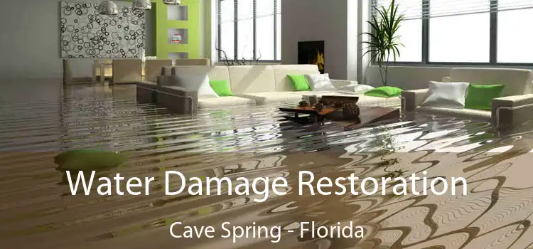 Water Damage Restoration Cave Spring - Florida