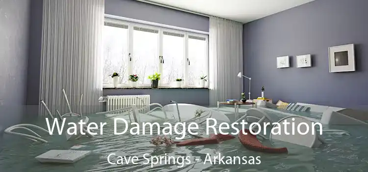 Water Damage Restoration Cave Springs - Arkansas