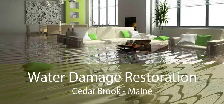 Water Damage Restoration Cedar Brook - Maine