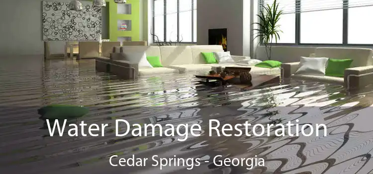 Water Damage Restoration Cedar Springs - Georgia