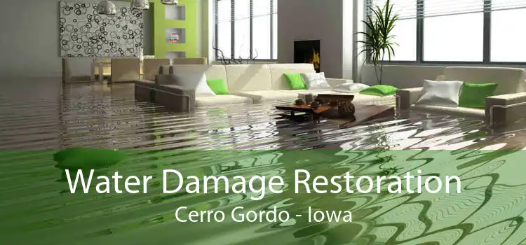 Water Damage Restoration Cerro Gordo - Iowa