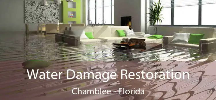 Water Damage Restoration Chamblee - Florida