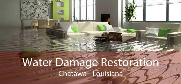 Water Damage Restoration Chatawa - Louisiana