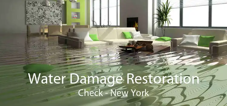 Water Damage Restoration Check - New York