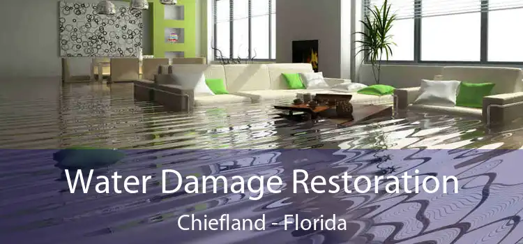 Water Damage Restoration Chiefland - Florida