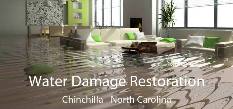 Water Damage Restoration Chinchilla - North Carolina