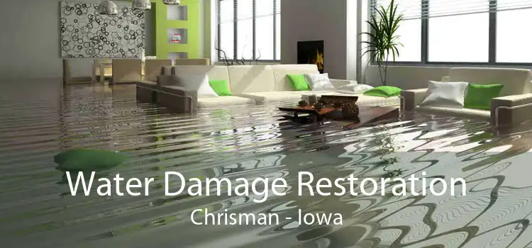 Water Damage Restoration Chrisman - Iowa