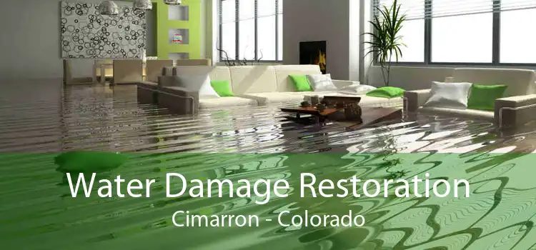 Water Damage Restoration Cimarron - Colorado