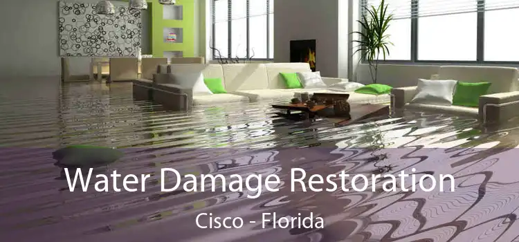 Water Damage Restoration Cisco - Florida