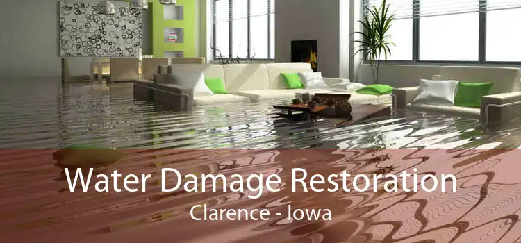 Water Damage Restoration Clarence - Iowa