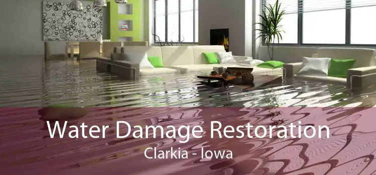 Water Damage Restoration Clarkia - Iowa