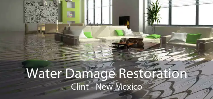 Water Damage Restoration Clint - New Mexico