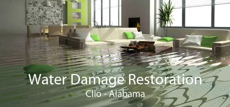 Water Damage Restoration Clio - Alabama