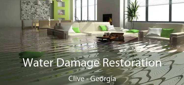 Water Damage Restoration Clive - Georgia