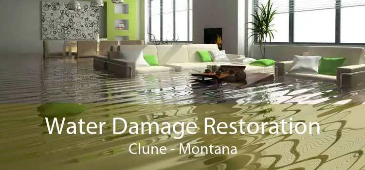 Water Damage Restoration Clune - Montana