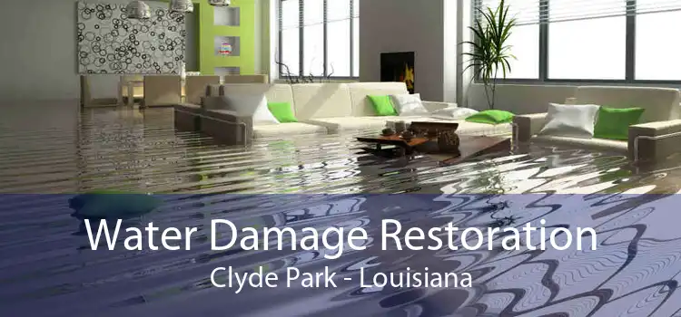 Water Damage Restoration Clyde Park - Louisiana