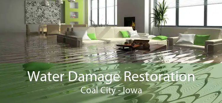 Water Damage Restoration Coal City - Iowa