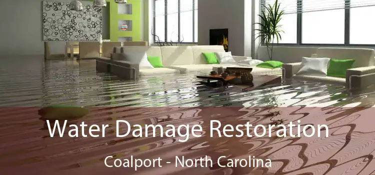 Water Damage Restoration Coalport - North Carolina