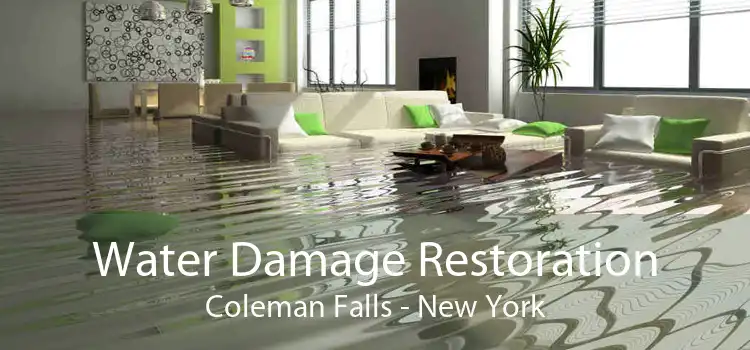 Water Damage Restoration Coleman Falls - New York