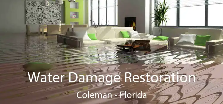 Water Damage Restoration Coleman - Florida