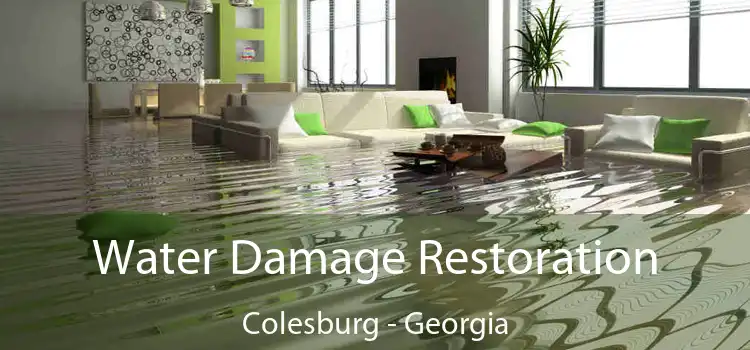 Water Damage Restoration Colesburg - Georgia