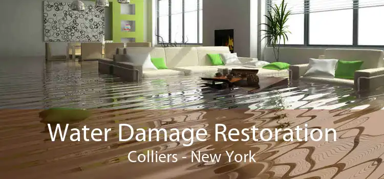 Water Damage Restoration Colliers - New York