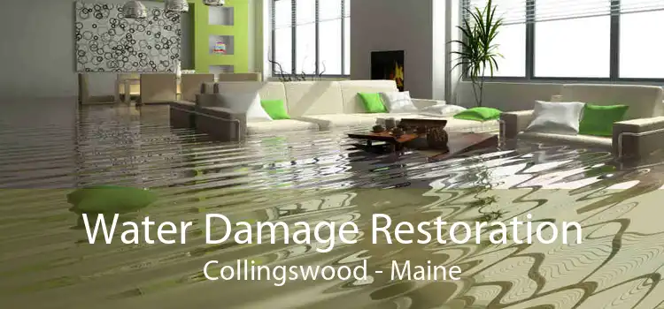 Water Damage Restoration Collingswood - Maine