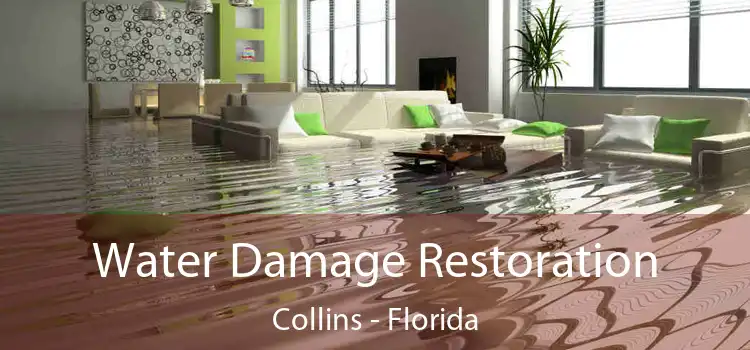 Water Damage Restoration Collins - Florida