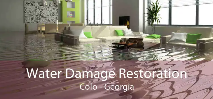 Water Damage Restoration Colo - Georgia