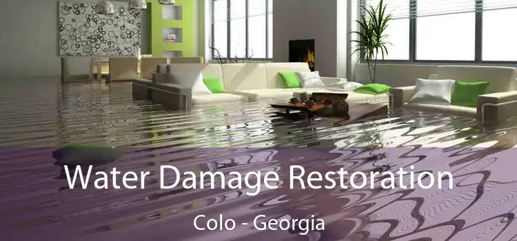 Water Damage Restoration Colo - Georgia