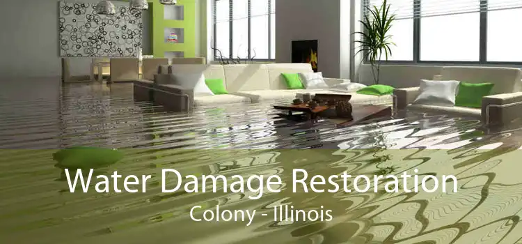 Water Damage Restoration Colony - Illinois