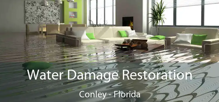 Water Damage Restoration Conley - Florida