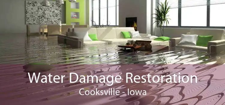Water Damage Restoration Cooksville - Iowa