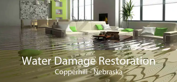 Water Damage Restoration Copperhill - Nebraska