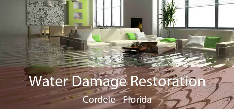 Water Damage Restoration Cordele - Florida