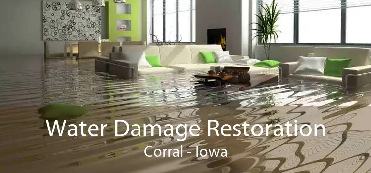 Water Damage Restoration Corral - Iowa