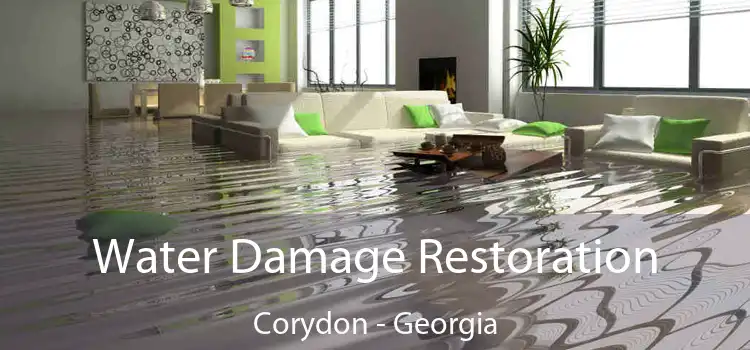 Water Damage Restoration Corydon - Georgia