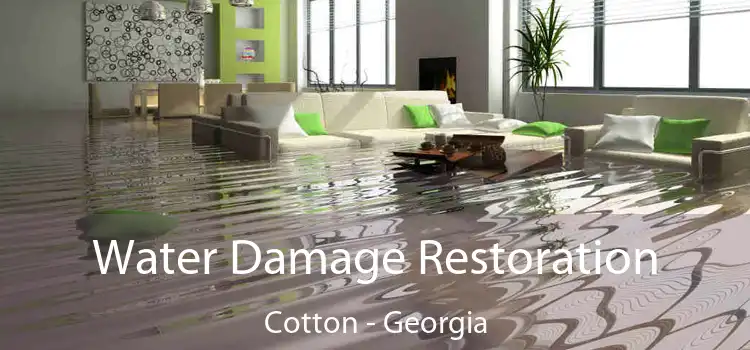 Water Damage Restoration Cotton - Georgia