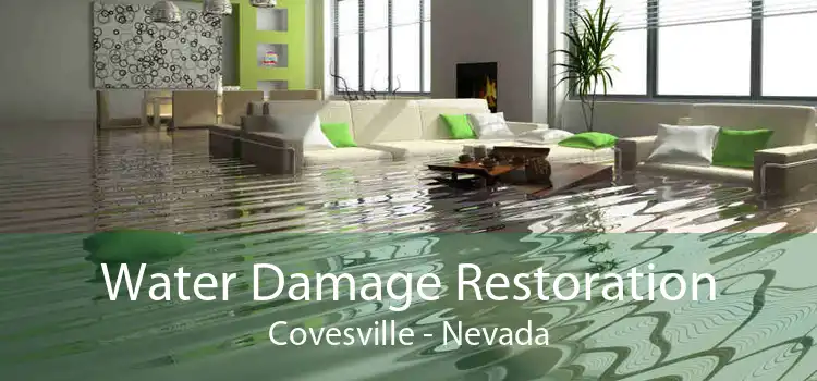Water Damage Restoration Covesville - Nevada
