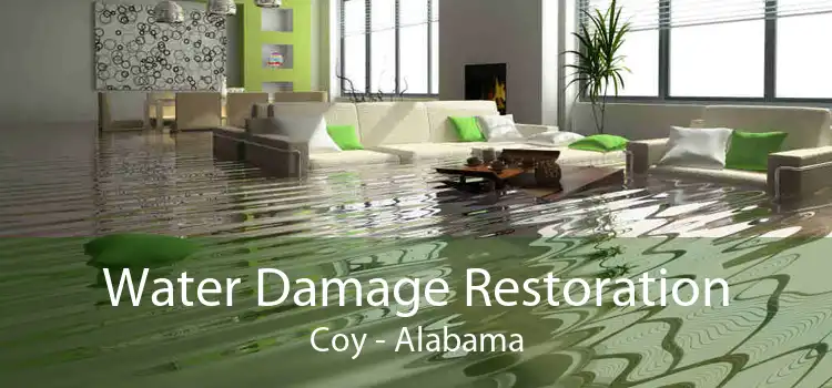 Water Damage Restoration Coy - Alabama