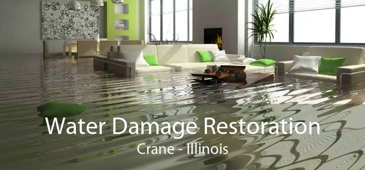 Water Damage Restoration Crane - Illinois