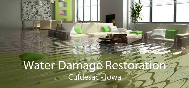 Water Damage Restoration Culdesac - Iowa