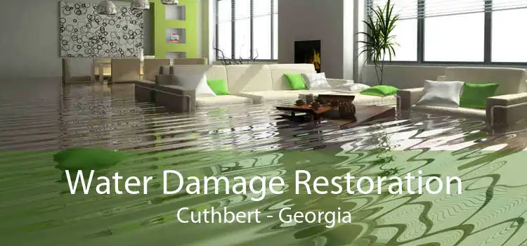 Water Damage Restoration Cuthbert - Georgia