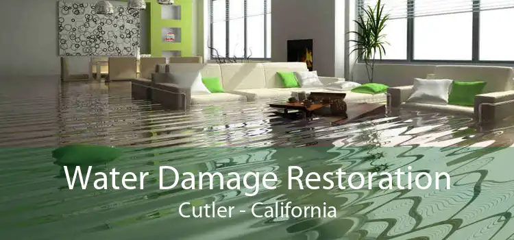 Water Damage Restoration Cutler - California