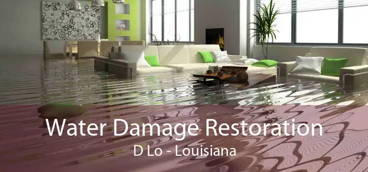 Water Damage Restoration D Lo - Louisiana