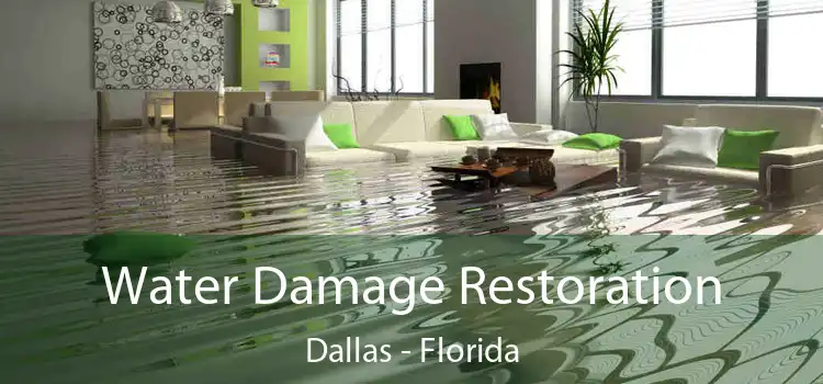 Water Damage Restoration Dallas - Florida